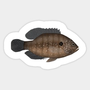 Banded Sunfish Sticker